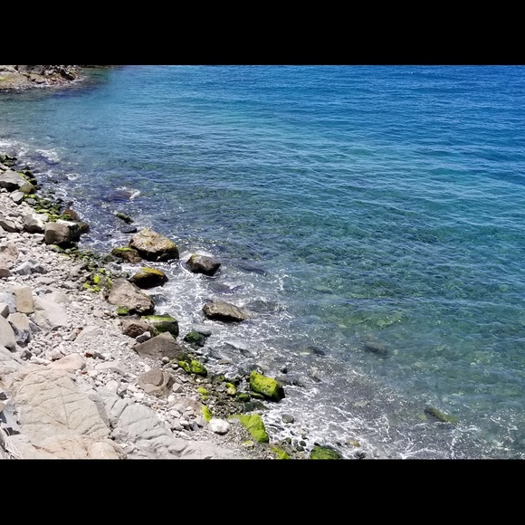 Meet your Posher, Lyn - Picture 1 of 1